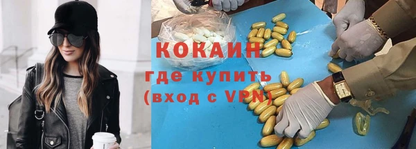 индика Алексеевка