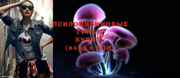 соль ск Абинск