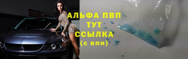 индика Алексеевка