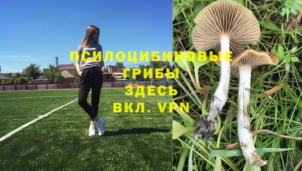 индика Алексеевка